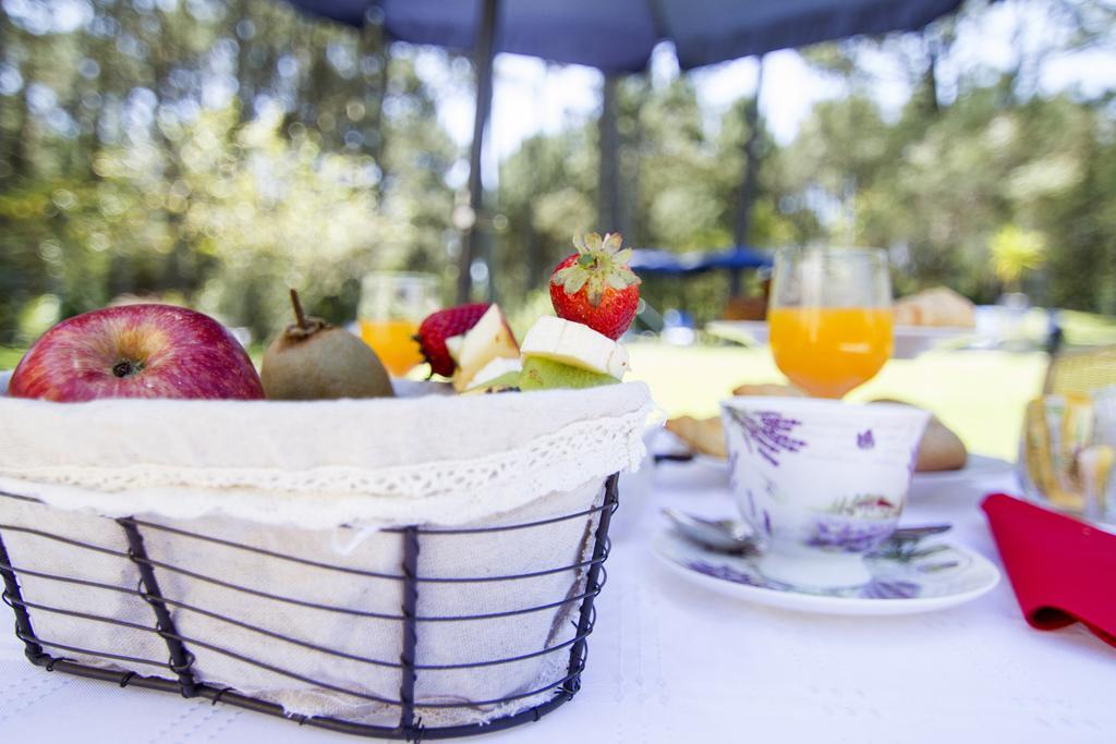 Neike Boutique Hotel Мальдонадо Экстерьер фото